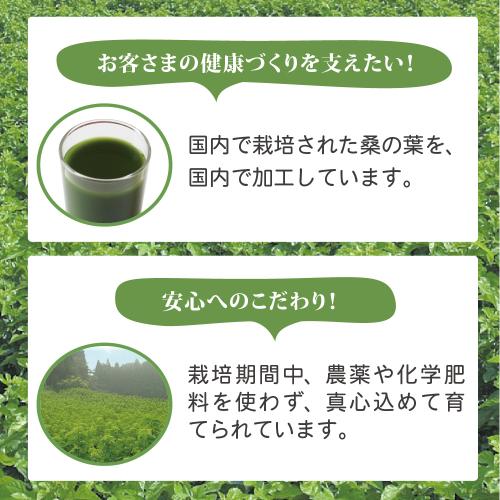 【まとめ買い割引】ミナト式くわ青汁２箱セット