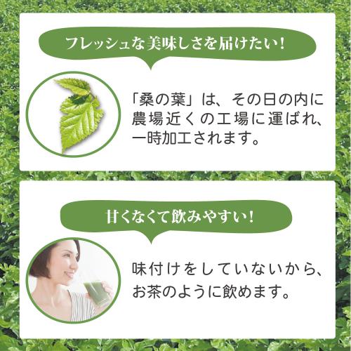 【まとめ買い割引】ミナト式くわ青汁６箱セット